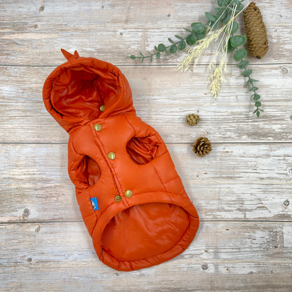 Windproof Dinosaur Puffer Coat - Orange